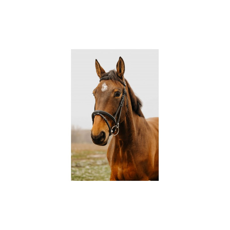 Bridon NORTON CLUB - Easy