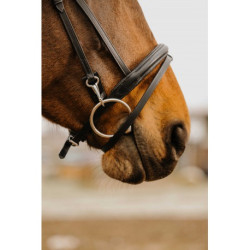 Bridon NORTON CLUB - Easy