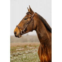 Bridon NORTON CLUB - Easy