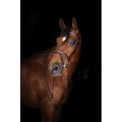 Rênes Hunter ERIC THOMAS ELITE 16 mm