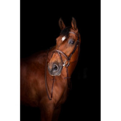 Rênes Hunter ERIC THOMAS ELITE 16 mm