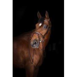 Rênes Hunter ERIC THOMAS ELITE 16 mm