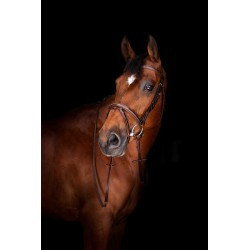 Rênes Hunter ERIC THOMAS ELITE 16 mm