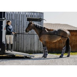 Enrênement d'embarquement NORTON