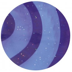 Étrille ovale HIPPOTONIC caoutchouc pailleté