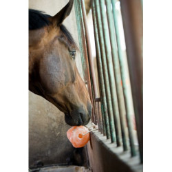 Pierre à sel HIPPOTONIC de l'Himalaya