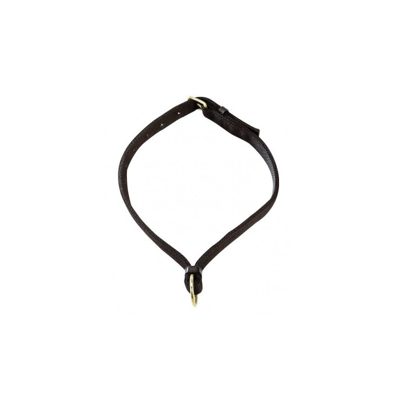 Collier pour chevaux NORTON