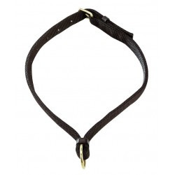 Collier pour chevaux NORTON