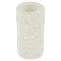 Bande HIPPOTONIC - Flex-Wrap