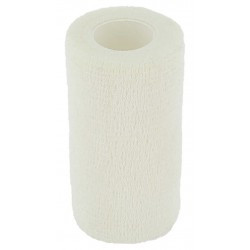 Bande HIPPOTONIC - Flex-Wrap