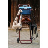 Chariot porte-selle HIPPOTONIC