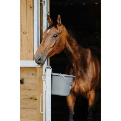 Mangeoire HIPPOTONIC à crochets et anse