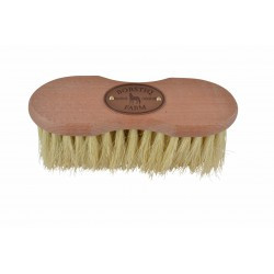 Brosse Infini BORSTIQ - Cactus/crins