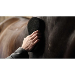 Éponge LAMI-CELL - Shine scrubber