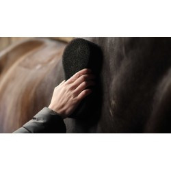 Éponge LAMI-CELL - Shine scrubber