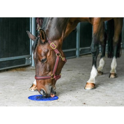 Tapis de léchage LIKIT - Graze Maze