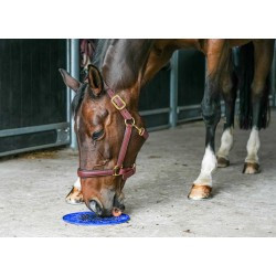 Tapis de léchage LIKIT - Graze Maze