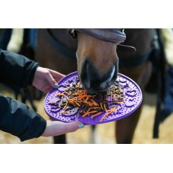 Tapis de léchage LIKIT - Graze Maze