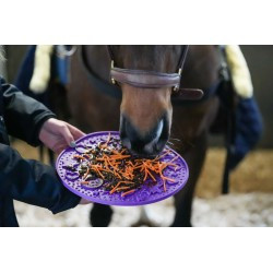 Tapis de léchage LIKIT - Graze Maze