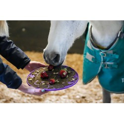 Tapis de léchage LIKIT - Graze Maze