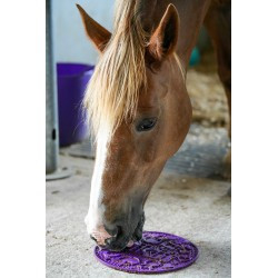 Tapis de léchage LIKIT - Graze Maze