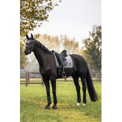 Tapis de selle BACK ON TRACK® - Haze Collection