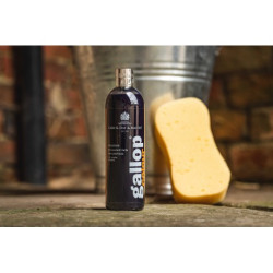 Shampoing Gallop® CARR & DAY & MARTIN Noir