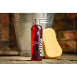 Shampoing Gallop® CARR & DAY & MARTIN Bai