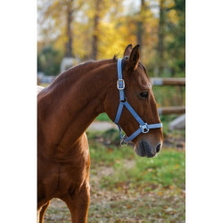 Licol nylon EQUITHEME - Spring