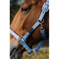 Licol nylon EQUITHEME - Spring