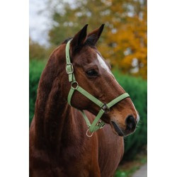 Licol nylon EQUITHEME - Spring