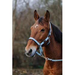 Licol nylon EQUITHEME - Spring