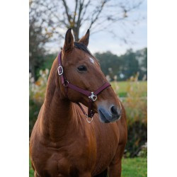 Licol nylon EQUITHEME - Spring