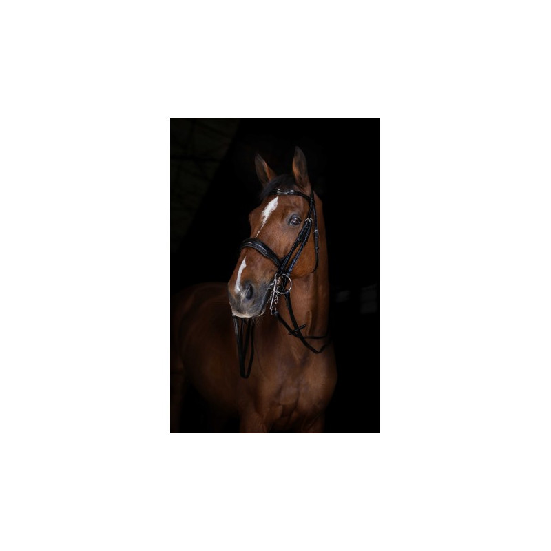 Rênes de bride ERIC THOMAS ELITE 13 mm