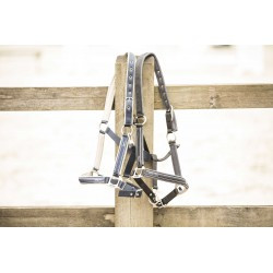 Licol LAMI-CELL - Elegance