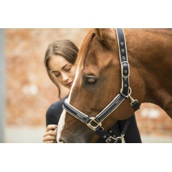 Licol LAMI-CELL - Elegance