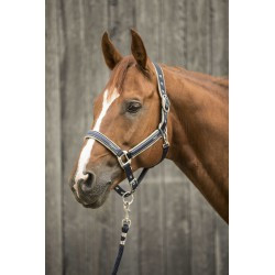 Licol LAMI-CELL - Elegance