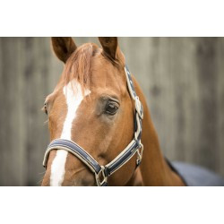 Licol LAMI-CELL - Elegance