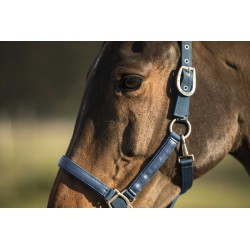 Licol LAMI-CELL - LC