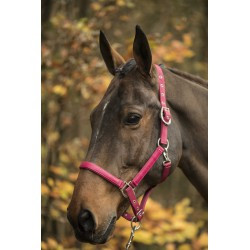 Licol LAMI-CELL - LC