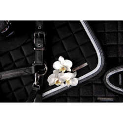 Licol LAMI-CELL - Sparkling