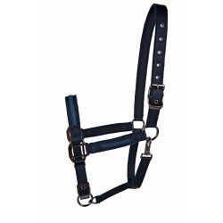 Licol LAMI-CELL - Sparkling