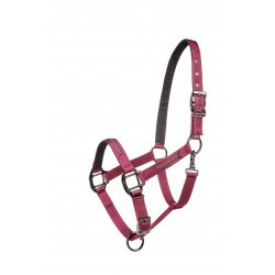 Licol LAMI-CELL - Sparkling