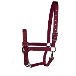 Licol LAMI-CELL - Sparkling