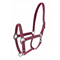 Licol LAMI-CELL - Sparkling