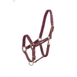 Licol LAMI-CELL - Venus