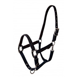 Licol LAMI-CELL - Vintage