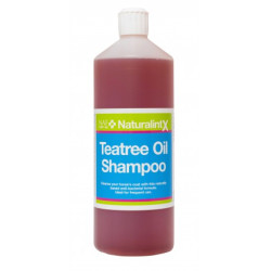 Shampoing au Teatree - Naturalintx