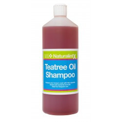 Shampoing au Teatree - Naturalintx