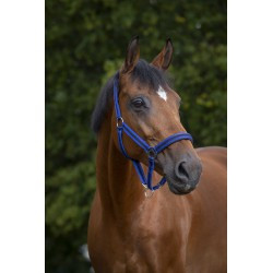 Licol NORTON - Doublé néoprène